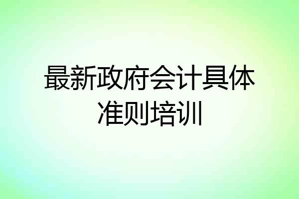 最新政府会计具体准则培训