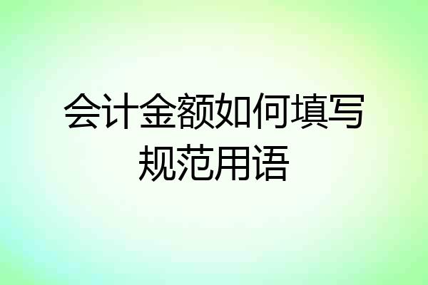 会计金额如何填写规范用语
