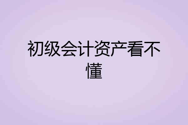 初级会计资产看不懂