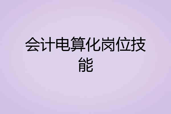 会计电算化岗位技能