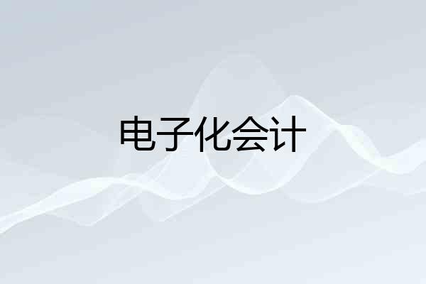 电子化会计
