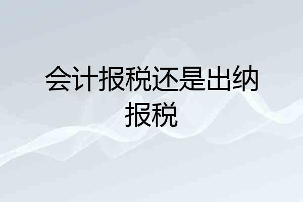 会计报税还是出纳报税