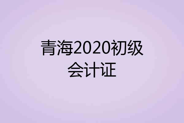 青海2020初级会计证