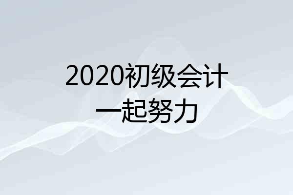 2020初级会计一起努力