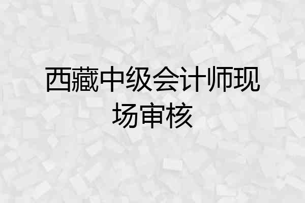 西藏中级会计师现场审核