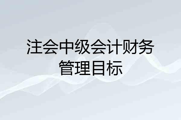 注会中级会计财务管理目标