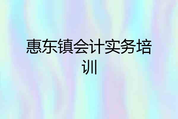 惠东镇会计实务培训