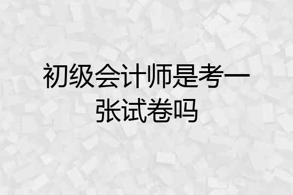 初级会计师是考一张试卷吗