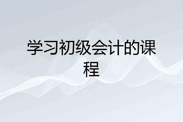 学习初级会计的课程