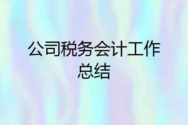 公司税务会计工作总结