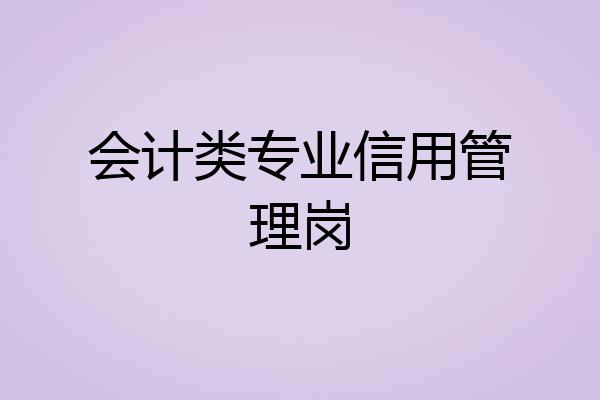 会计类专业信用管理岗