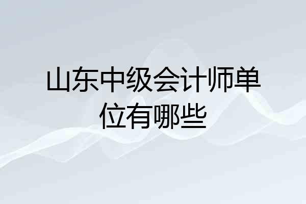 山东中级会计师单位有哪些