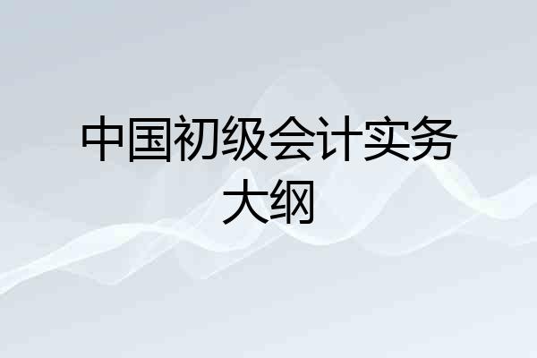 中国初级会计实务大纲