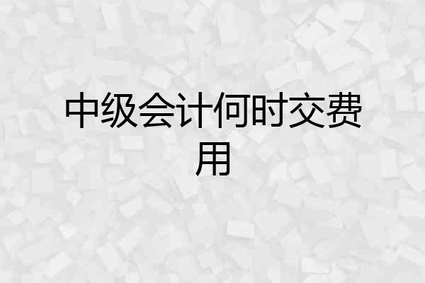 中级会计何时交费用