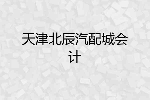 天津北辰汽配城会计