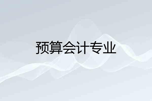 预算会计专业