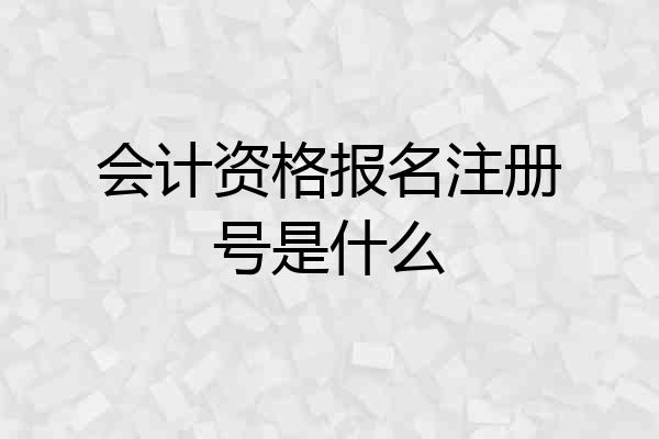 会计资格报名注册号是什么