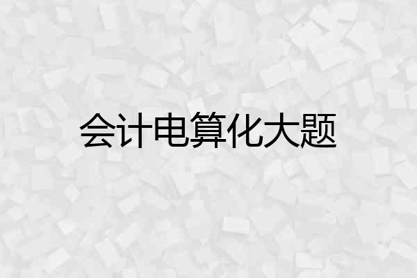 会计电算化大题