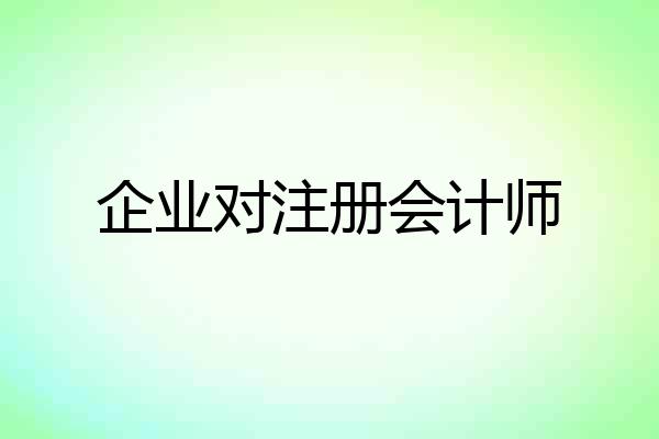 企业对注册会计师