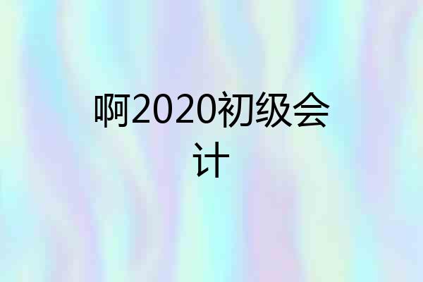 啊2020初级会计