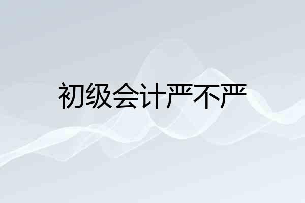 初级会计严不严