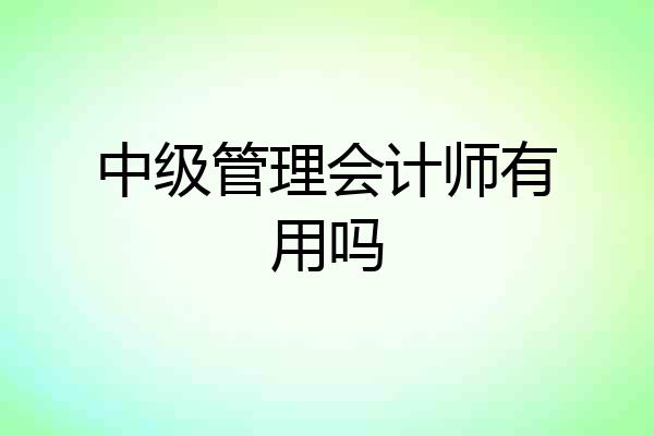 中级管理会计师有用吗