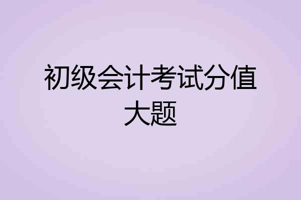 初级会计考试分值大题