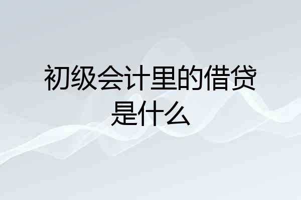 初级会计里的借贷是什么