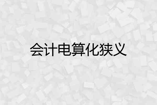 会计电算化狭义