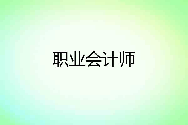 职业会计师