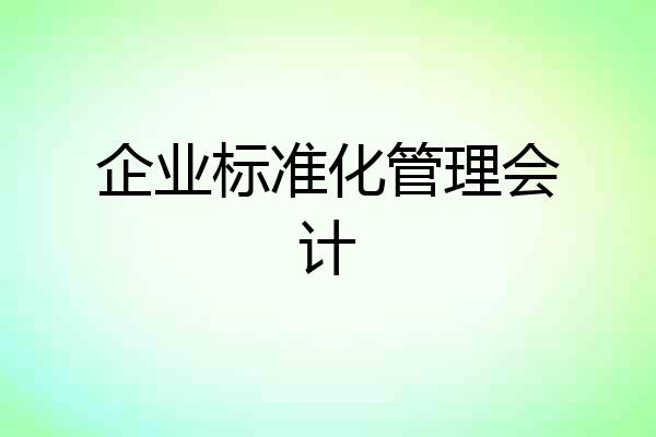 企业标准化管理会计