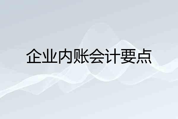 企业内账会计要点