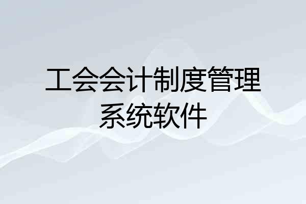 工会会计制度管理系统软件