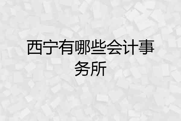 西宁有哪些会计事务所