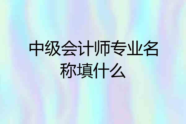 中级会计师专业名称填什么