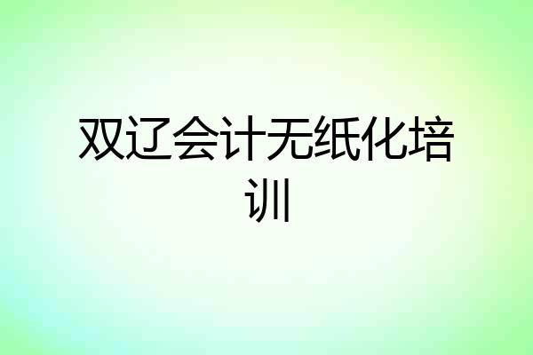 双辽会计无纸化培训