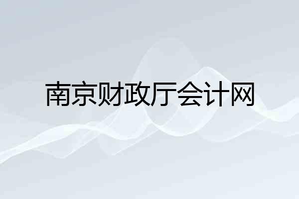南京财政厅会计网