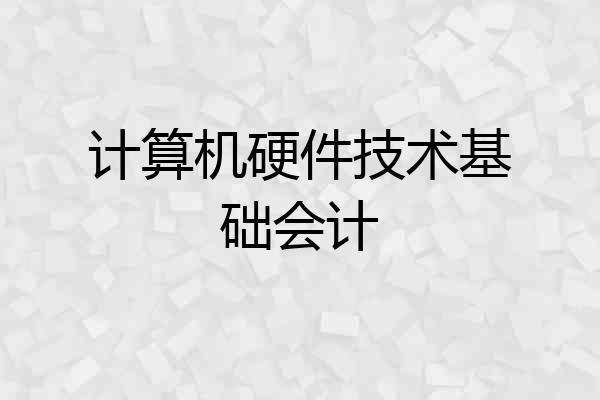 计算机硬件技术基础会计