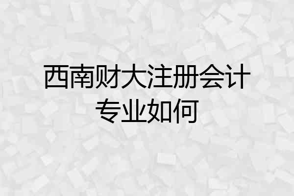 西南财大注册会计专业如何