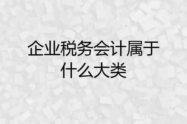 企业税务会计属于什么大类