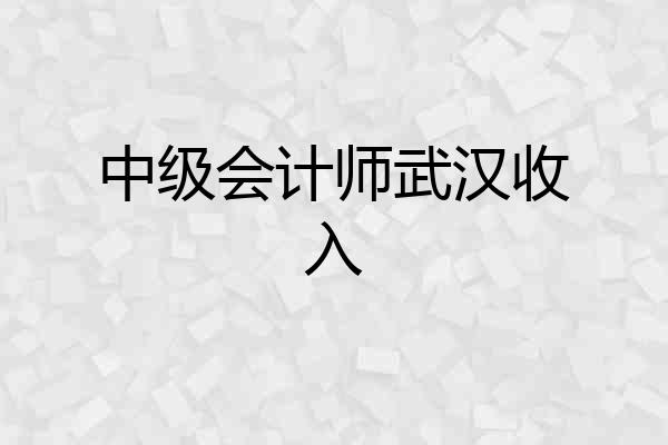 中级会计师武汉收入