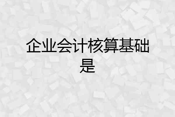 企业会计核算基础是
