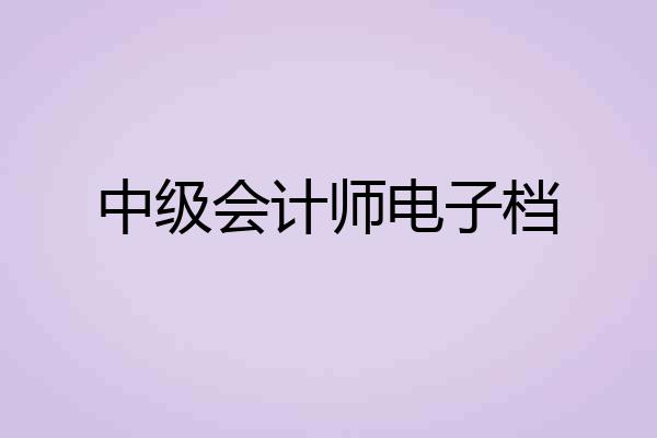 中级会计师电子档