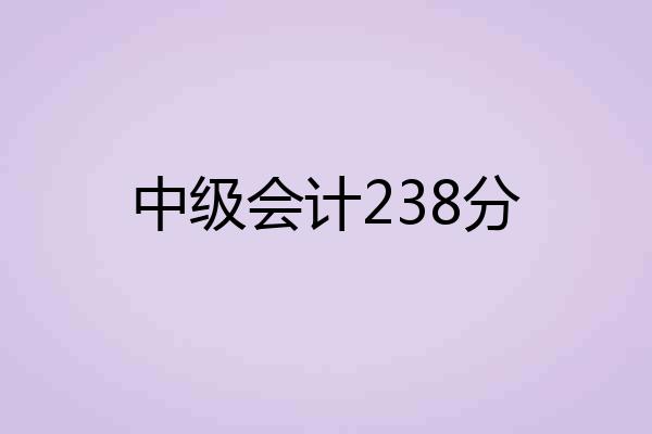 中级会计238分