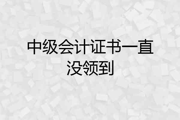 中级会计证书一直没领到