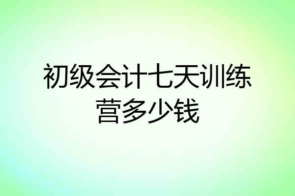 初级会计七天训练营多少钱