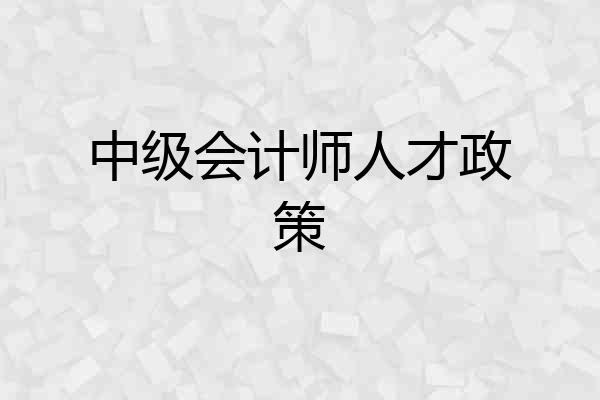 中级会计师人才政策