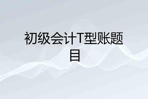 初级会计T型账题目