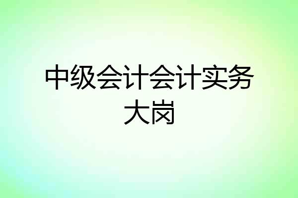 中级会计会计实务大岗