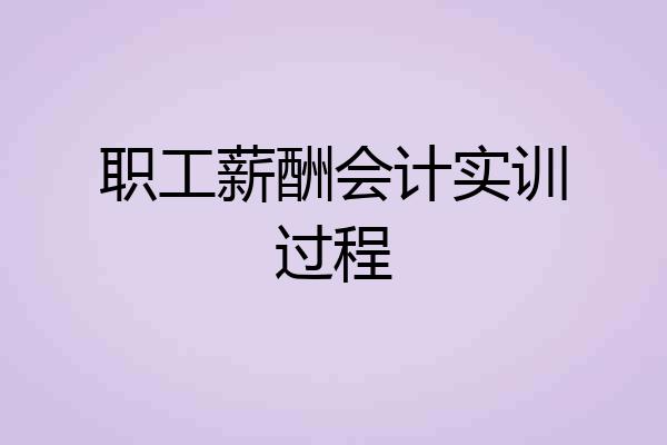 职工薪酬会计实训过程